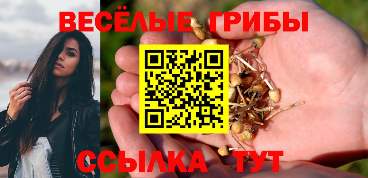 Воркута  Галлюциногенные грибы мицелий  Вход с VPN 