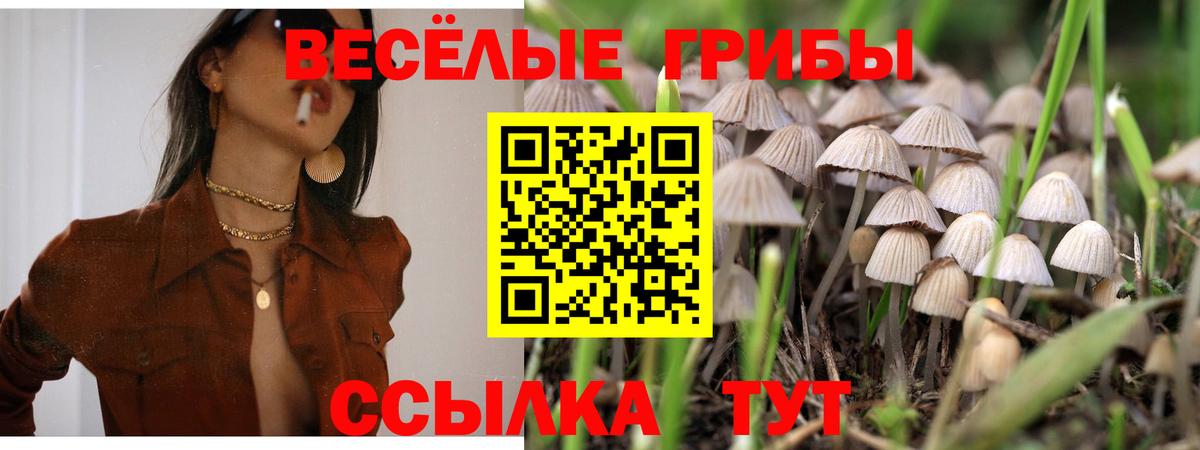 Псилоцибиновые грибы Cubensis Воркута